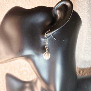 Shell Earrings