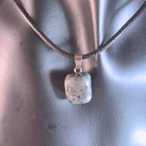 Tumbled Dalmatian Jasper Pendant Necklace